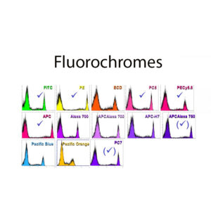 Fluorochromes