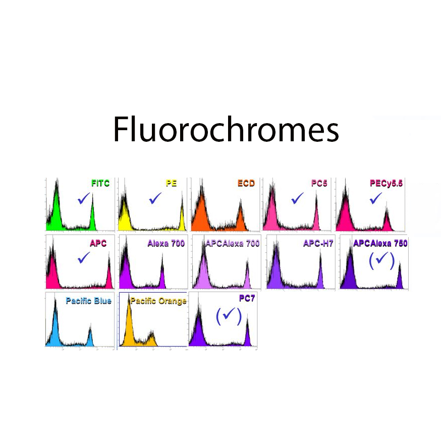 Antibodies & Reagents Labplan